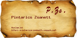 Pintarics Zsanett névjegykártya